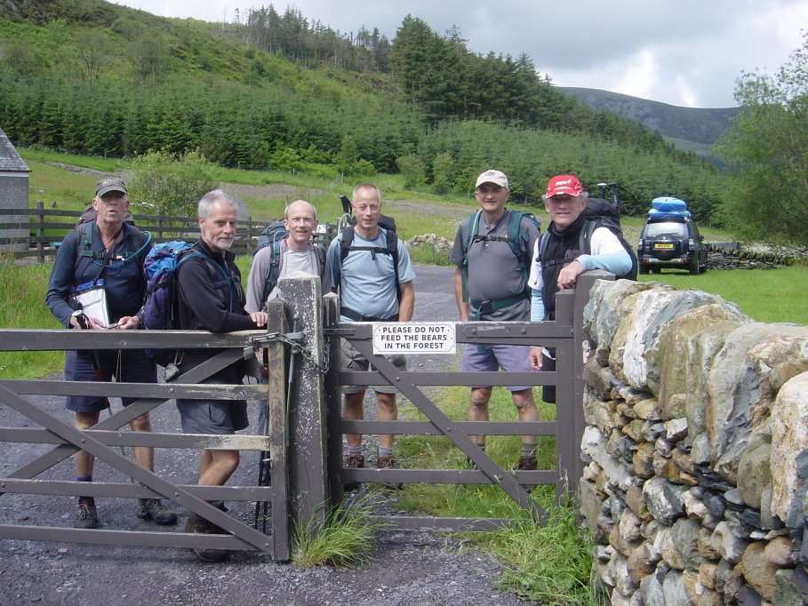 We did not see any bears in the forest